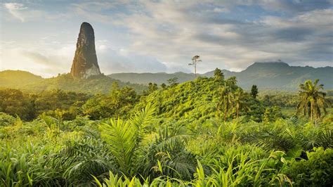 São Tomé-et-Príncipe « archipel de biodiversité » - Ulule