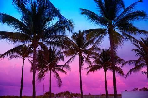 'Miami Beach South Beach Sunset Palm Trees in Ocean Drive Florida ...