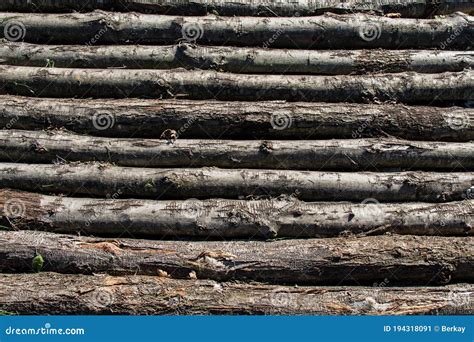 Wooden Stick Form Wood Backgroud Texture Stock Image - Image of ...