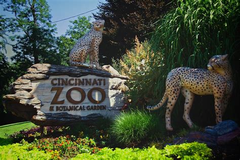 Cincinnati Zoo | & Botanical Garden | Timothy Valentine | Flickr