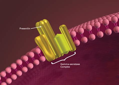 Upending Alzheimer’s Theory | Harvard Medical School