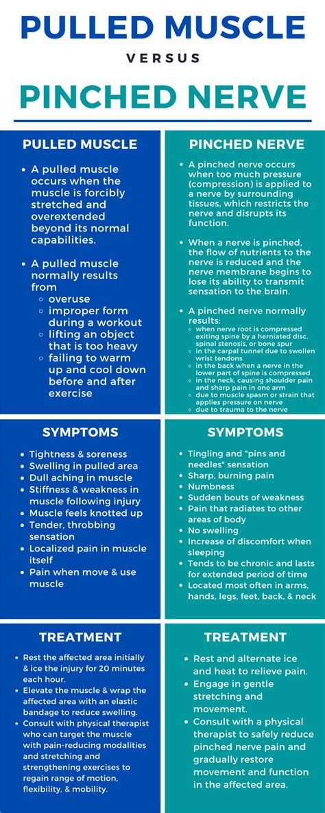 Pulled Muscle vs. Pinched Nerve [Infographic]-Mangiarelli Rehabilitation