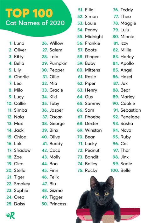 The Best Cat Names at Patrick Thrasher blog