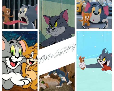 Exploring The Relationship Between Tom and Jerry - CartoonVibe