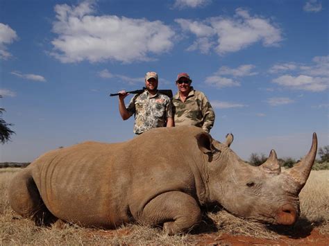 Exportable White Rhino Hunts With Limcroma Safaris | AfricaHunting.com