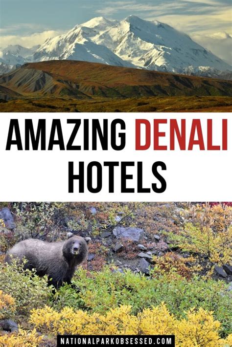 Where To Stay In Denali National Park? 14 Best Denali Hotels - National ...