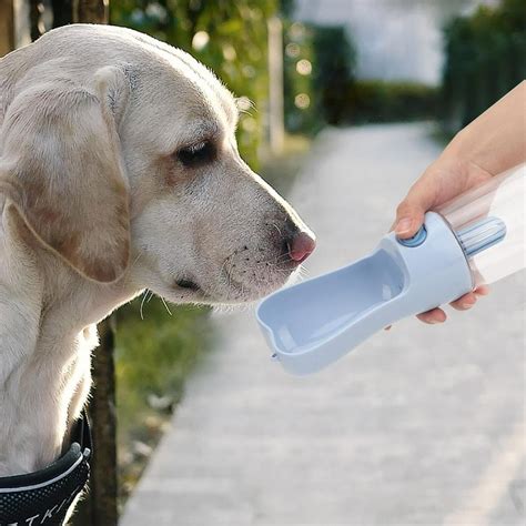 Tebru Pet Dog Portable Water Bottle Outdoor Cat Puppy Drinking Cup ...