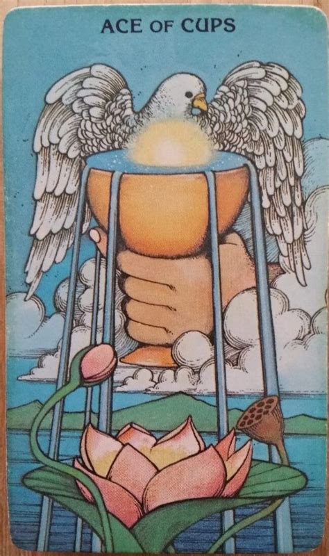 Sunday 8th September 2019: Ace of Cups | Cup tattoo, Cups tarot, Tarot