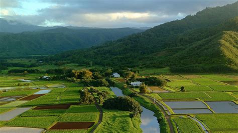 Ferienwohnung Hanalei Valley Lookout: Villen & mehr | FeWo-direkt