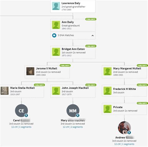 Daley DNA and Genealogy – Hartley DNA & Genealogy