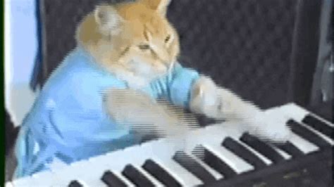 Keyboard GIF - Find & Share on GIPHY