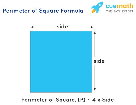 how to find the perimeter of a square - Lara Opeashom