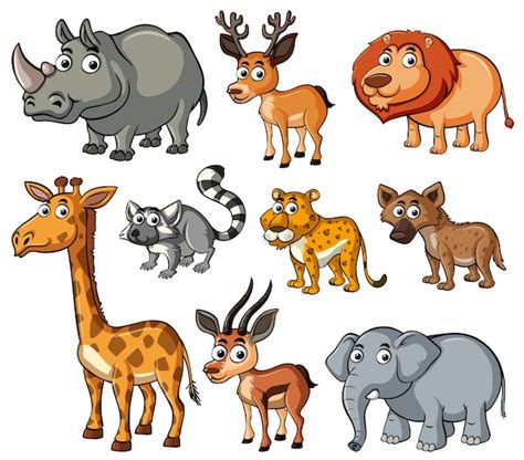 Premium Vector | Different kinds of wild animals