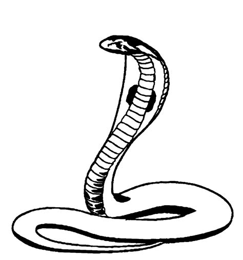 snake clip art - Clip Art Library