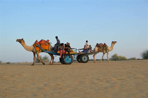 Camel Ride Photos, Download The BEST Free Camel Ride Stock Photos & HD ...