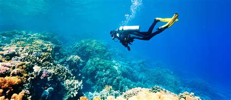 Snorkeling & Scuba Diving Tours, Travel & Trips | National Geographic ...