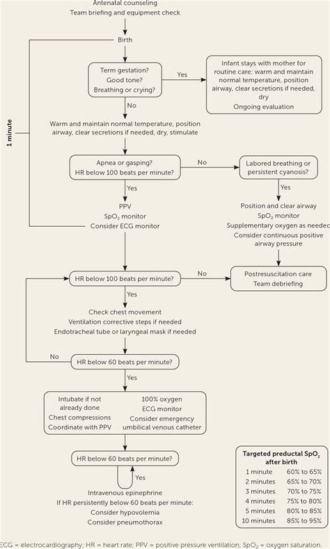 Neonatal Resuscitation: Updated Guidelines From The, 45% OFF