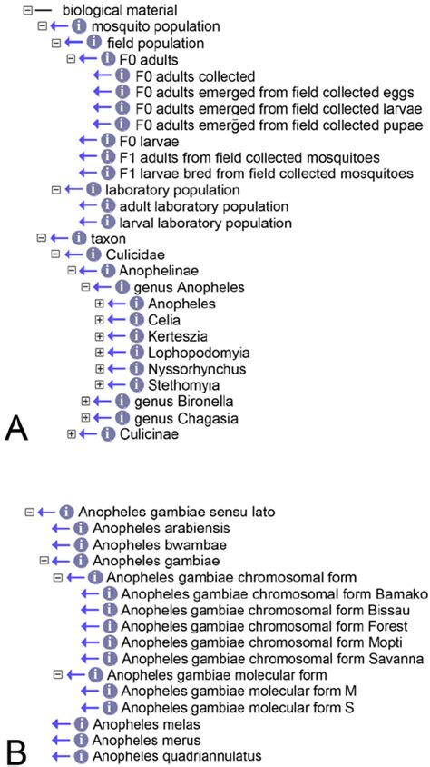 The ‘‘ biological material ’’ class. The figure shows, in a depth of 5 ...