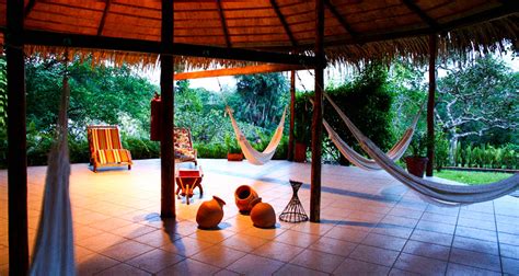 Amazon Rainforest Eco Park Lodge | 4* & 5* Brazil Jungle Tours