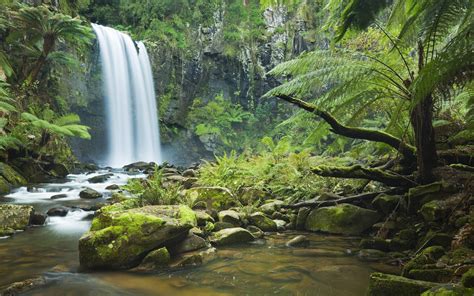 Rainforest Wallpapers - Full HD wallpaper search | Waterfall wallpaper ...