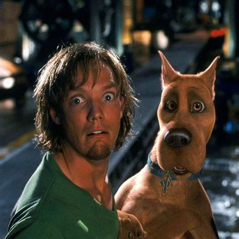 Matthew Lillard en “Scooby-Doo”, 2002 | Shaggy and scooby, Scooby doo ...