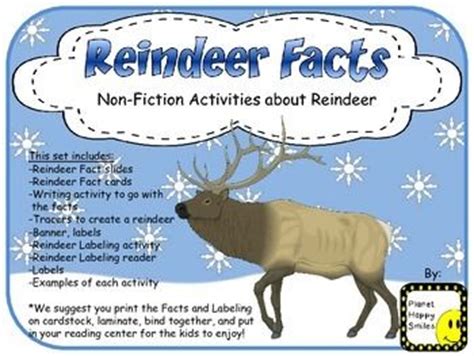 Reindeer Facts Activities ~ Non-fiction Fun! | Reindeer facts, Non ...