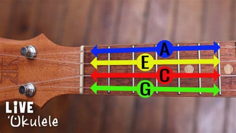 Ukulele Tuning Tips: How to Tune a Uke