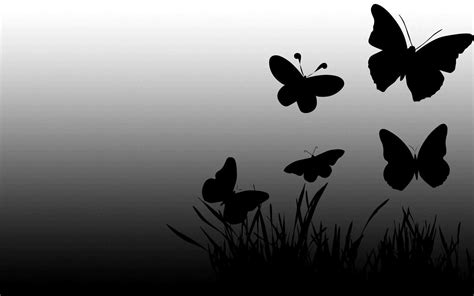 Black Butterfly Backgrounds - Wallpaper Cave