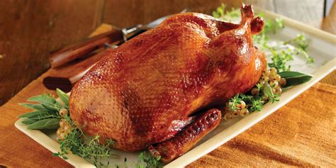 Maple Leaf Farms Duck Recipes | Mike Scott | Copy Me That