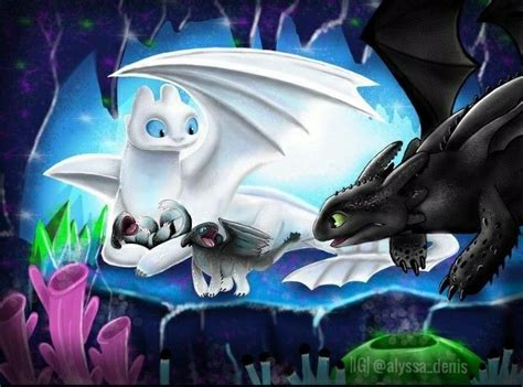 Toothless and Light Fury with their half white and half black Night ...