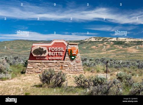 Kemmerer, Wyoming - Fossil Butte National Monument. Huge numbers of ...