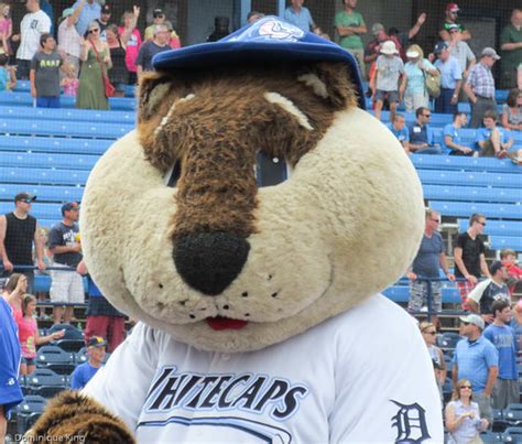 Catching a West Michigan Whitecaps game in Grand Rapids, Michigan ...