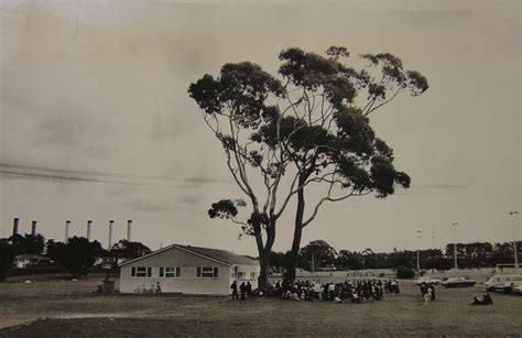 Marae History | Ngāti Ōtara Marae