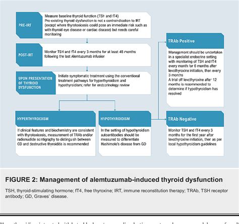 Figure 1 from Alemtuzumab-Induced Autoimmune Thyroid Dysfunction ...