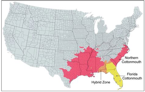 cottonmouth range map - Bird Watching HQ