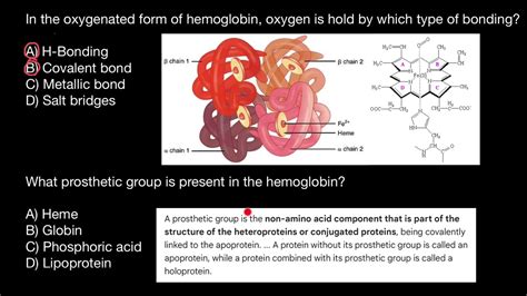 What is prosthetic group? - YouTube