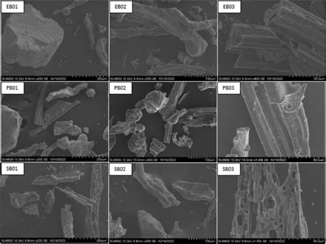 SEM images of bottom ash samples: EB01, EB02, and EB03 Ethimale bottom ...