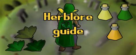 OSRS 1-99 Herblore Guide - Best OSRS Guides