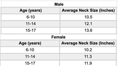 Average Neck Size and Circumference for Men and Women