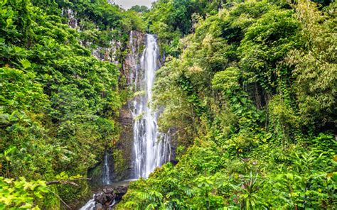 Things To Do In East Maui and The Road To Hana