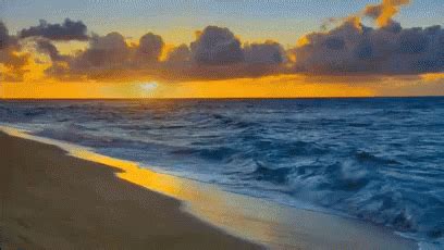 Hawaii Ocean Waves GIF - Beach Waves Sunset - Discover & Share GIFs