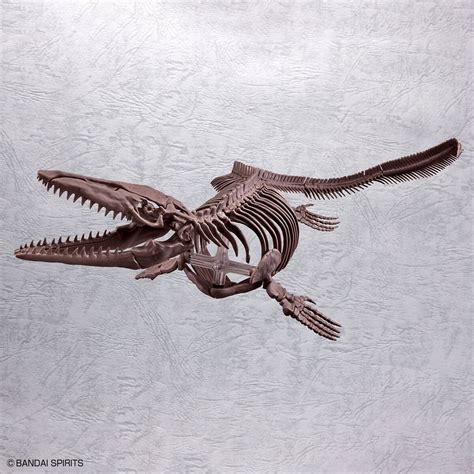 Imaginary Skeleton Mosasaurus | HLJ.com