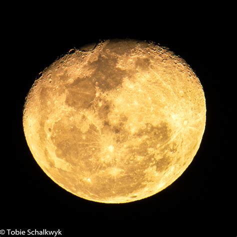 CTS_4284-Moon | Yellow moon in color | Tobie Schalkwyk | Flickr