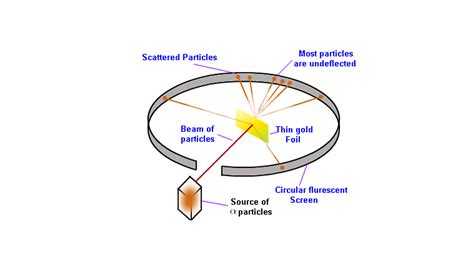 Enlist the conclusions drawn by Rutherford from his α ray scattering ...