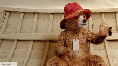 Paddington 3 title suggests our favourite bear is going back to Peru