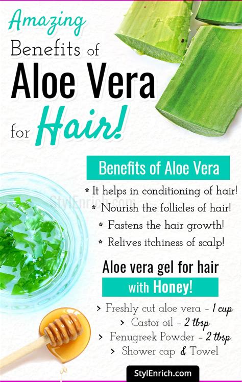 Aloe Vera For Hair Growth - Let's Know the Amazing Benefits!