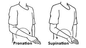 Exercises for Children with Neurological Conditions: Upper Limb Active ...