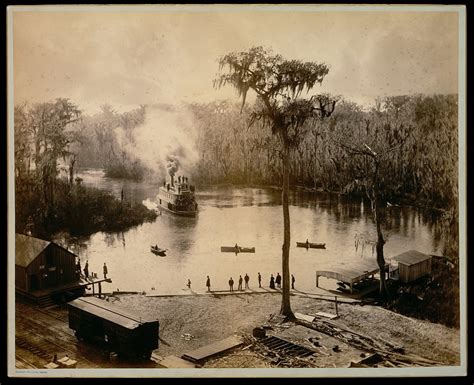 Silver Springs Monkeys: A Florida Tourist Attraction Gone Wrong - Soapboxie