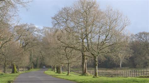 Castle Archdale Forest, County Fermanagh - See Around Britain