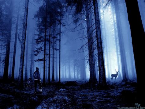 Scary Forest Wallpapers - Wallpaper Cave